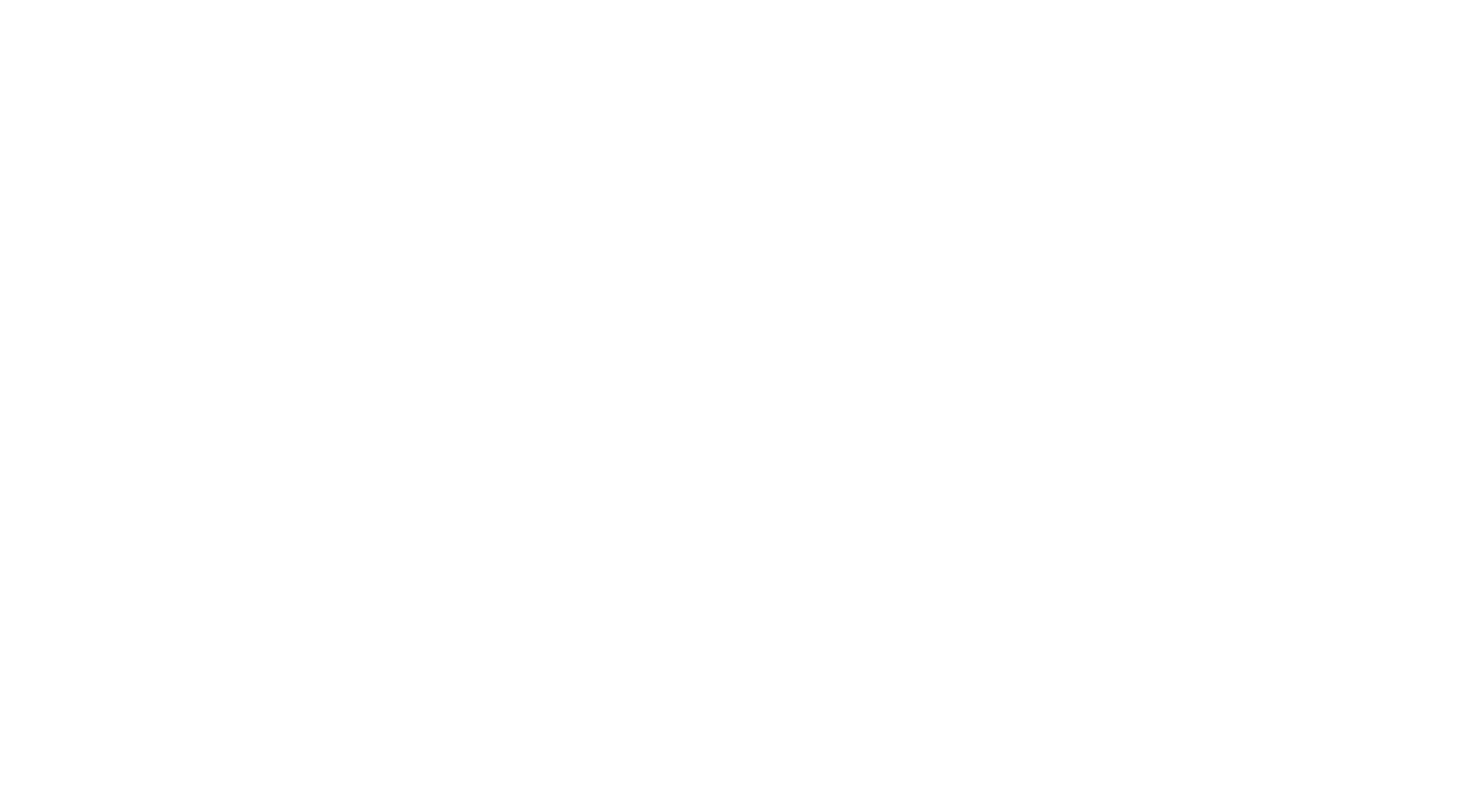 Rebel Skin logo